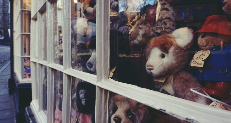 Do You Have Toy Questions? Read On