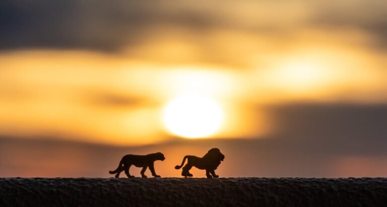 In The Market For Toys? You Have To Read This!